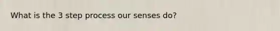 What is the 3 step process our senses do?