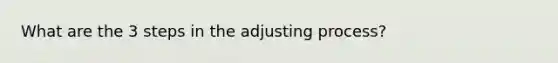 What are the 3 steps in the adjusting process?