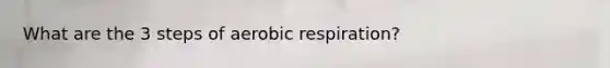 What are the 3 steps of aerobic respiration?