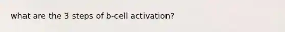 what are the 3 steps of b-cell activation?