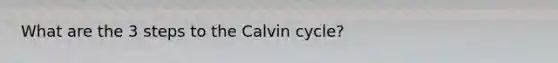 What are the 3 steps to the Calvin cycle?