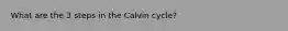 What are the 3 steps in the Calvin cycle?