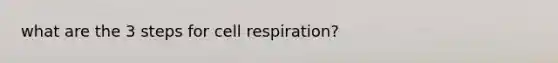 what are the 3 steps for cell respiration?