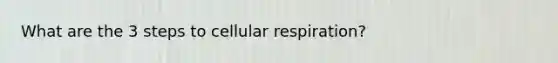 What are the 3 steps to cellular respiration?