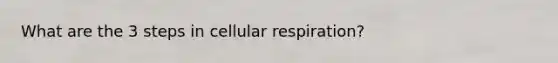 What are the 3 steps in cellular respiration?