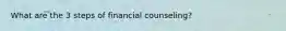 What are the 3 steps of financial counseling?