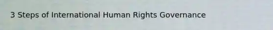 3 Steps of International Human Rights Governance