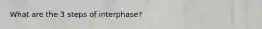 What are the 3 steps of interphase?