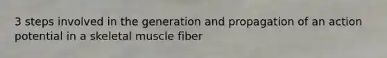 3 steps involved in the generation and propagation of an action potential in a skeletal muscle fiber