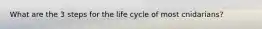 What are the 3 steps for the life cycle of most cnidarians?