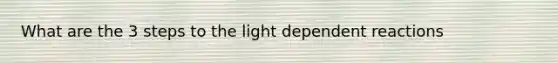 What are the 3 steps to the light dependent reactions