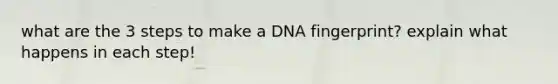 what are the 3 steps to make a DNA fingerprint? explain what happens in each step!