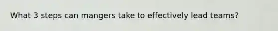 What 3 steps can mangers take to effectively lead teams?