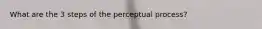 What are the 3 steps of the perceptual process?