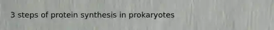 3 steps of protein synthesis in prokaryotes