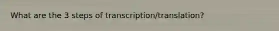 What are the 3 steps of transcription/translation?