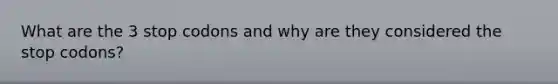 What are the 3 stop codons and why are they considered the stop codons?