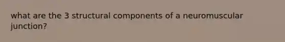 what are the 3 structural components of a neuromuscular junction?