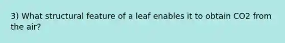 3) What structural feature of a leaf enables it to obtain CO2 from the air?