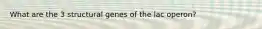 What are the 3 structural genes of the lac operon?
