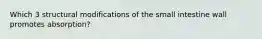 Which 3 structural modifications of the small intestine wall promotes absorption?