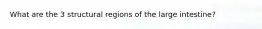 What are the 3 structural regions of the large intestine?