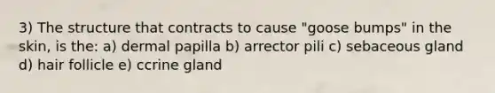 3) The structure that contracts to cause "goose bumps" in the skin, is the: a) dermal papilla b) arrector pili c) sebaceous gland d) hair follicle e) ccrine gland