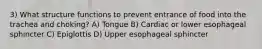 3) What structure functions to prevent entrance of food into the trachea and choking? A) Tongue B) Cardiac or lower esophageal sphincter C) Epiglottis D) Upper esophageal sphincter