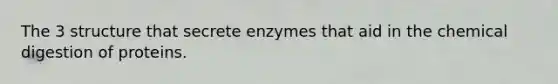 The 3 structure that secrete enzymes that aid in the chemical digestion of proteins.