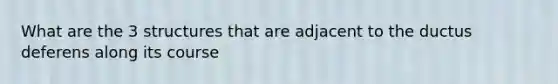 What are the 3 structures that are adjacent to the ductus deferens along its course