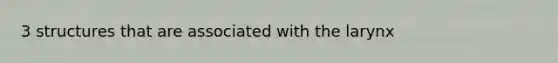 3 structures that are associated with the larynx