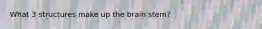 What 3 structures make up the brain stem?