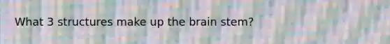 What 3 structures make up the brain stem?