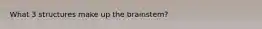 What 3 structures make up the brainstem?