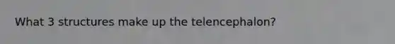 What 3 structures make up the telencephalon?