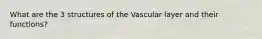 What are the 3 structures of the Vascular layer and their functions?