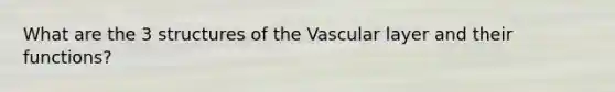 What are the 3 structures of the Vascular layer and their functions?