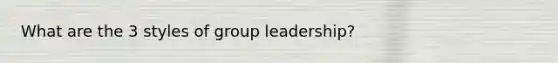 What are the 3 styles of group leadership?