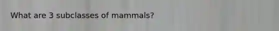 What are 3 subclasses of mammals?