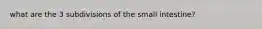 what are the 3 subdivisions of the small intestine?