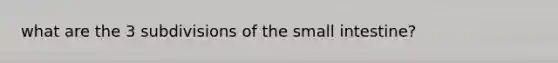 what are the 3 subdivisions of the small intestine?