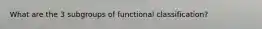 What are the 3 subgroups of functional classification?