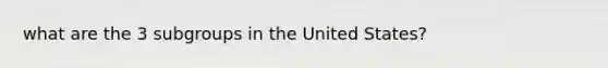 what are the 3 subgroups in the United States?