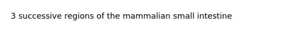 3 successive regions of the mammalian small intestine