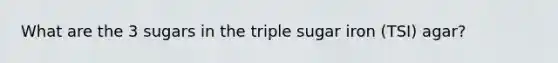 What are the 3 sugars in the triple sugar iron (TSI) agar?