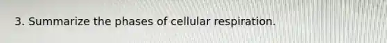 3. Summarize the phases of cellular respiration.