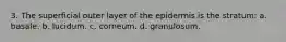 3. The superficial outer layer of the epidermis is the stratum: a. basale. b. lucidum. c. corneum. d. granulosum.