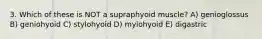 3. Which of these is NOT a supraphyoid muscle? A) genioglossus B) geniohyoid C) stylohyoid D) mylohyoid E) digastric