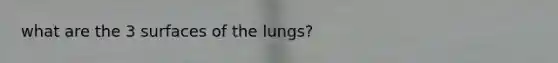 what are the 3 surfaces of the lungs?