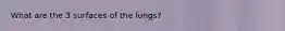 What are the 3 surfaces of the lungs?